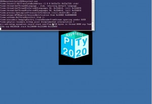 pity2020asystent3.2020.8.4 xp i vista.jpg