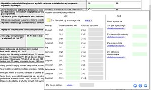 ulga rehabilitacyjna